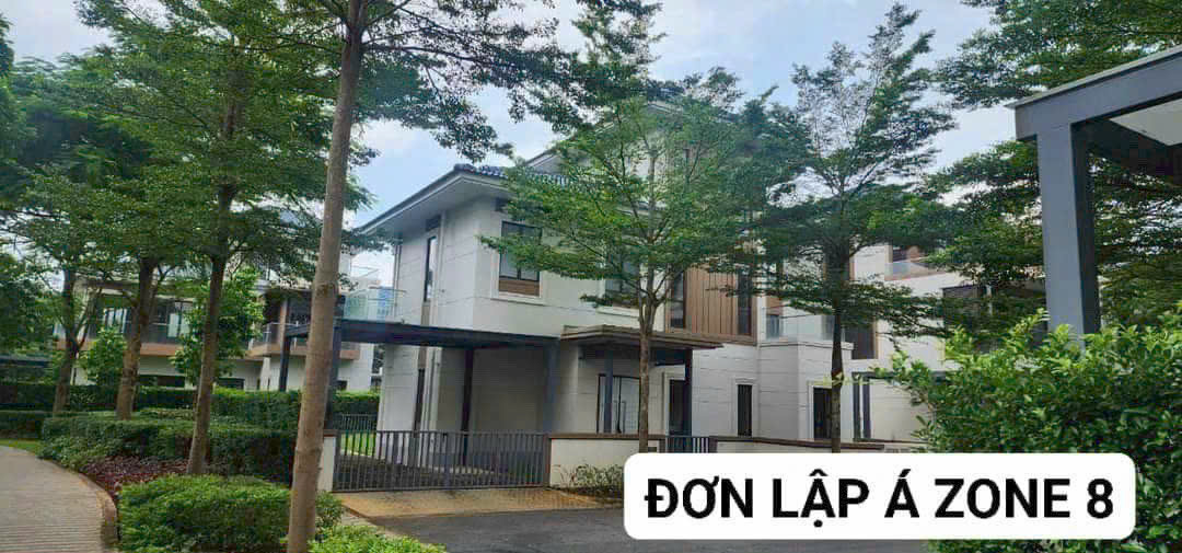 Đơn lập Kiểu Á zone 8